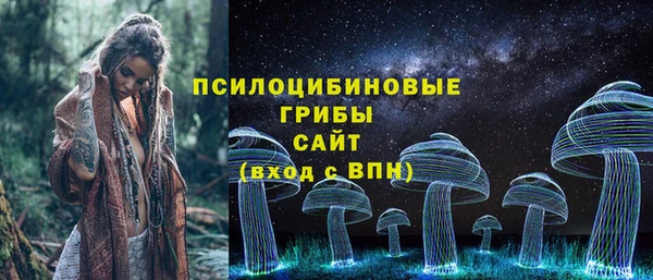 прущий лед Абаза