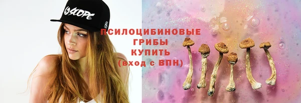 прущий лед Абаза