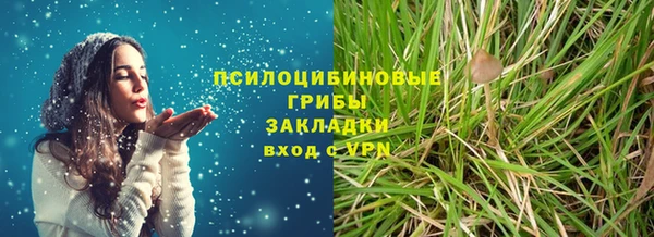 прущий лед Абаза