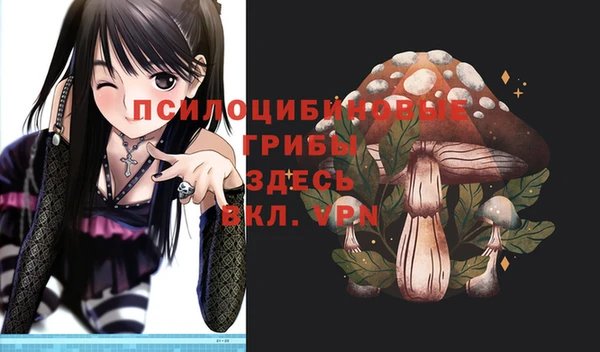 прущий лед Абаза