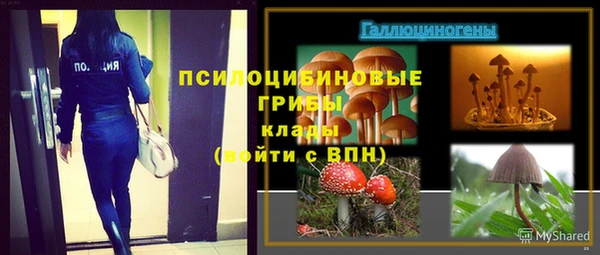 мяу мяу мука Абдулино