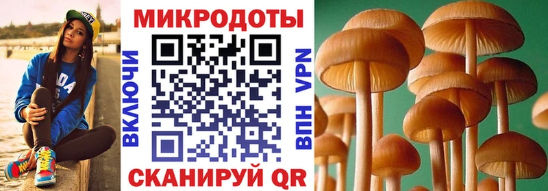 цены   Прокопьевск  гидра tor  Псилоцибиновые грибы Psilocybe 