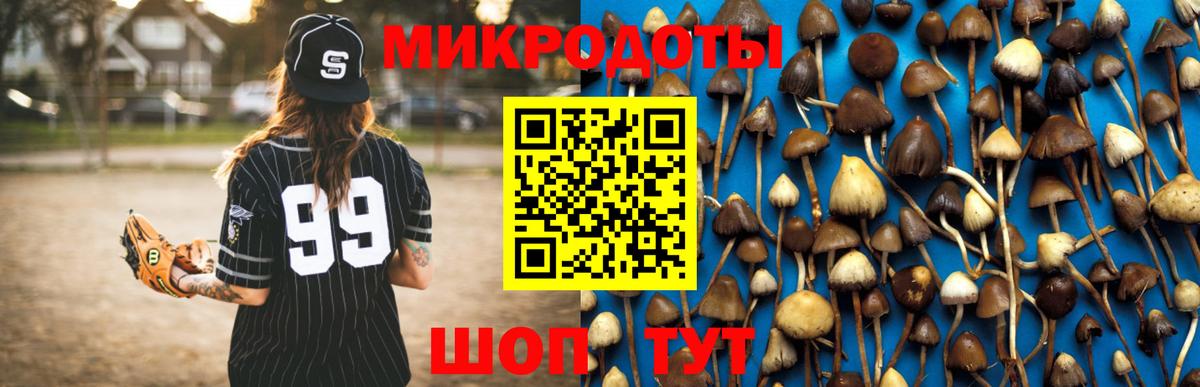 даркнет сайт  Вход с VPN  Прокопьевск  Галлюциногенные грибы прущие грибы 