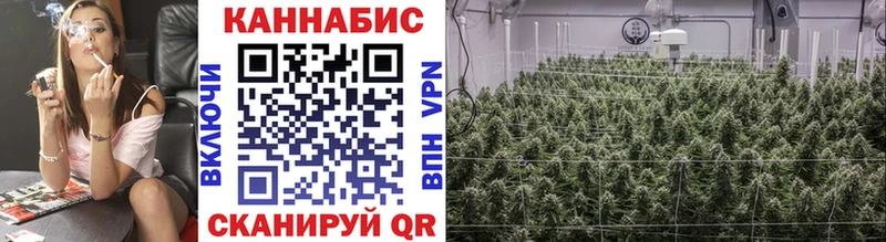 наркотики  Прокопьевск  Бошки Шишки Bruce Banner 